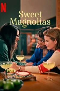 Постер сериала Милые магнолии