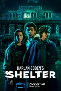 Постер сериала Приют